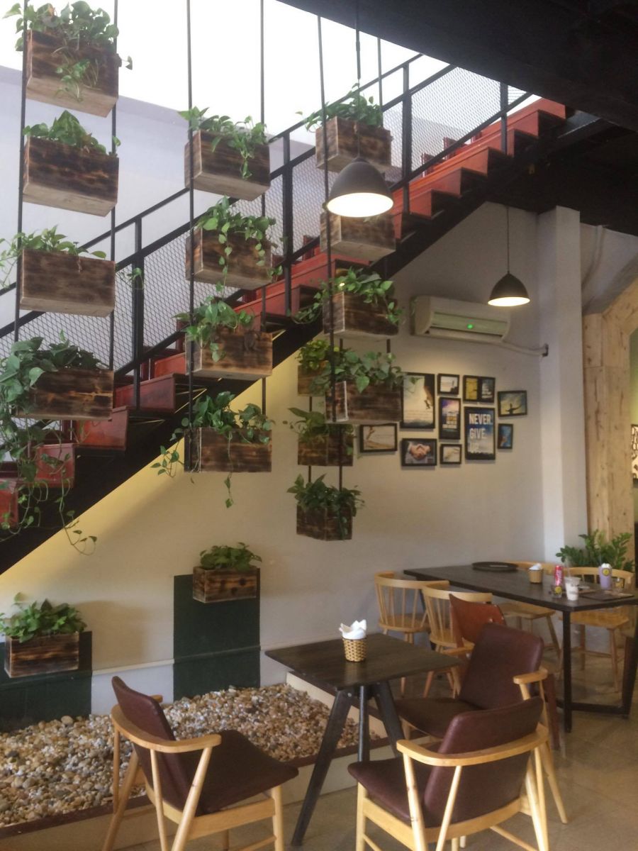 trang trí cây xanh cho nội thất quán cà phê