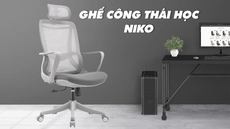 Gháº¿ cÃ´ng thÃ¡i há»c SMA Niko Classic