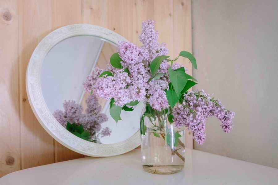 Cắm hoa bằng bình thủy tinh đẹp mắt để trang trí bàn uống nước