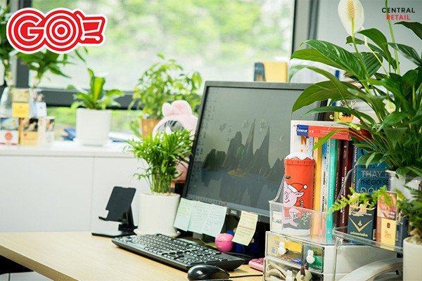 Cây xanh mini mang lại sự tươi mát cho không gian làm việc