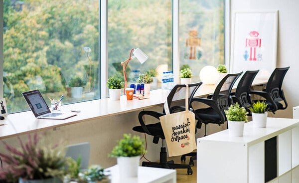Chậu cây cảnh để bàn làm việc hợp mệnh Mộc