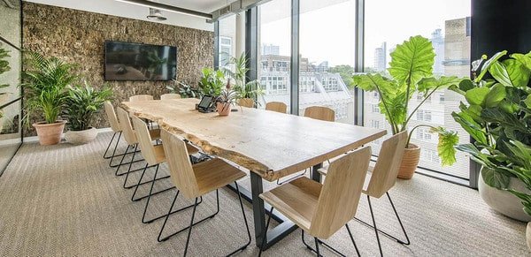 Hạn chế dùng chậu cây cảnh leo để bàn làm việc