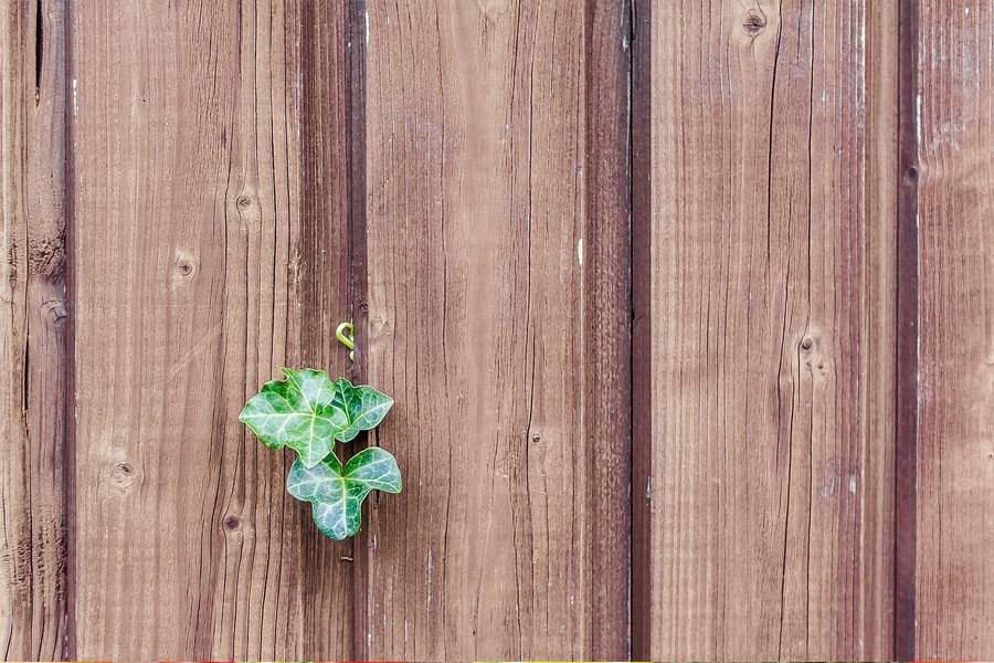 Mẫu background bàn gỗ png màu sáng đẹp mắt