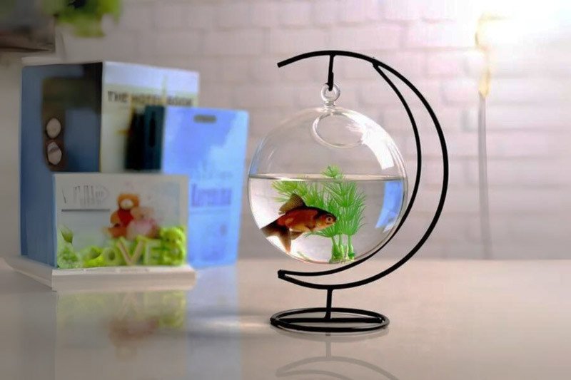 Mẫu bể cá mini để bàn làm việc dạng treo độc đáo, tiết kiệm diện tích