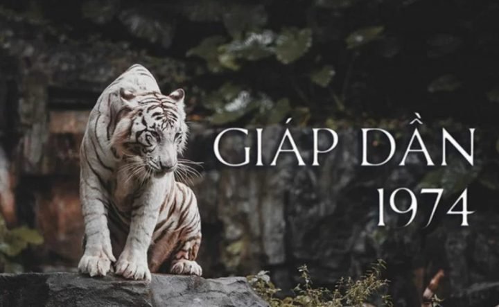 Một người đàn ông tuổi Giáp Dần đang ngồi làm việc trên chiếc bàn gỗ lớn, ánh nắng chiếu qua cửa sổ, tạo không gian làm việc chuyên nghiệp và yên bình.