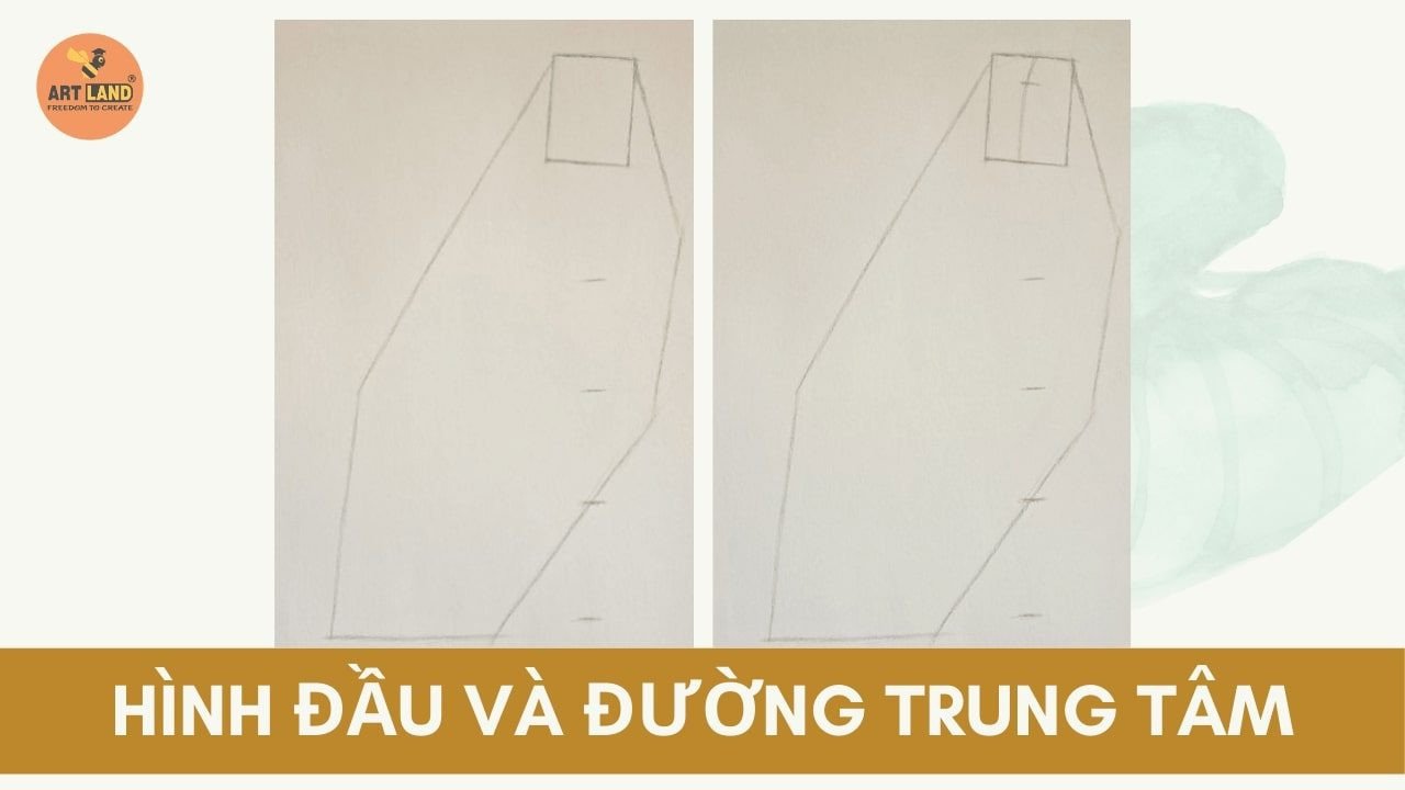 Phác hình đầu và đường trung tâm