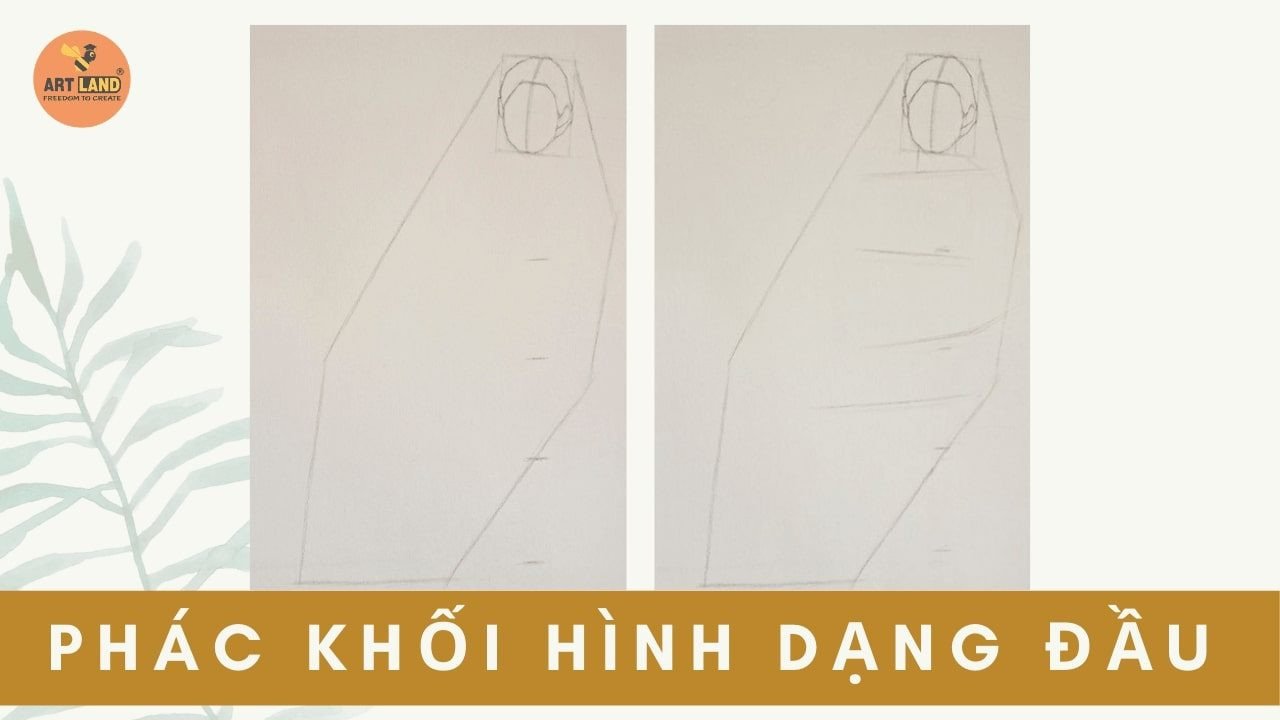Phác khối hình dạng đầu