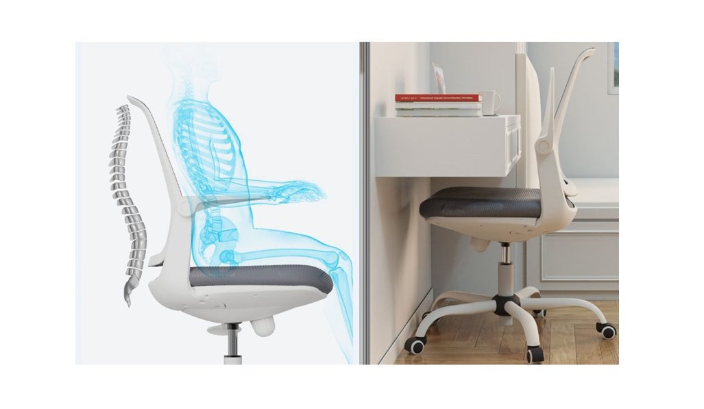 Thiết kế ghế văn phòng nhỏ với tựa lưng công thái học hỗ trợ cột sống
