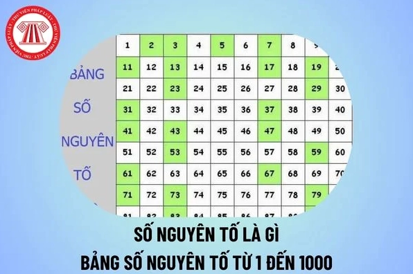 1 Có Phải Số Nguyên Tố Không? Giải Đáp Chuyên Sâu Chuẩn SEO 2026