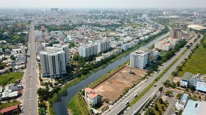Đan Phượng: Nét Đẹp Văn Hóa và Ý Nghĩa Sâu Sắc