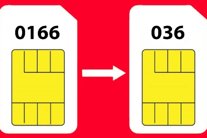 036 là mạng gì? Hé lộ sự thật ít người biết 2026 Đầu số 036 thuộc nhà mạng Viettel