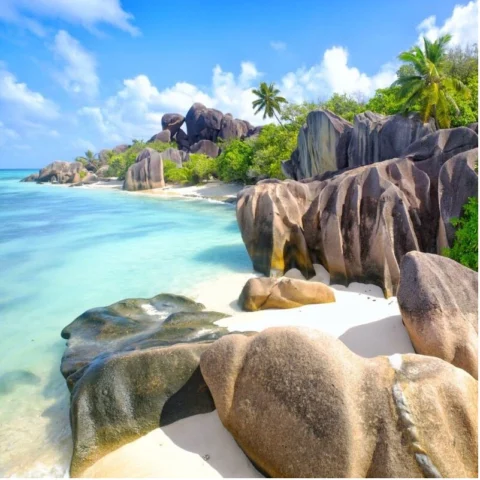 Bãi biển trắng và nước biển trong xanh tại Maldives