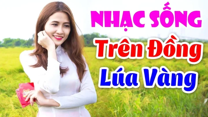Ban nhạc trẻ biểu diễn nhạc sống sôi động
