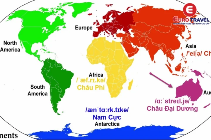 Brazil thuộc châu lục nào? Khám phá vị trí địa lý và đặc điểm nổi bật Bản đồ các châu lục trên thế giới