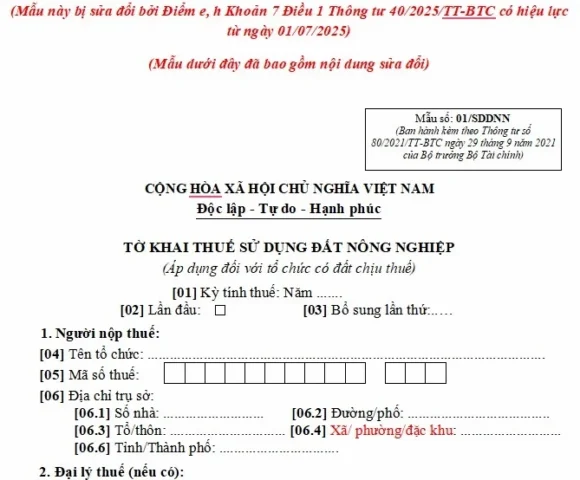 Bản đồ địa chính thể hiện các thửa đất và thông tin liên quan