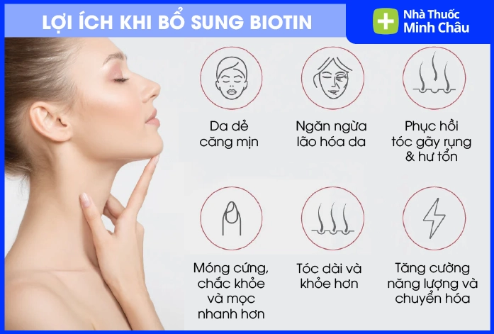 Uống Biotin Thường Xuyên Có Sao Không? Chuyên Gia Giải Đáp Chi Tiết 2026 Bảng liều lượng Biotin khuyến cáo theo độ tuổi