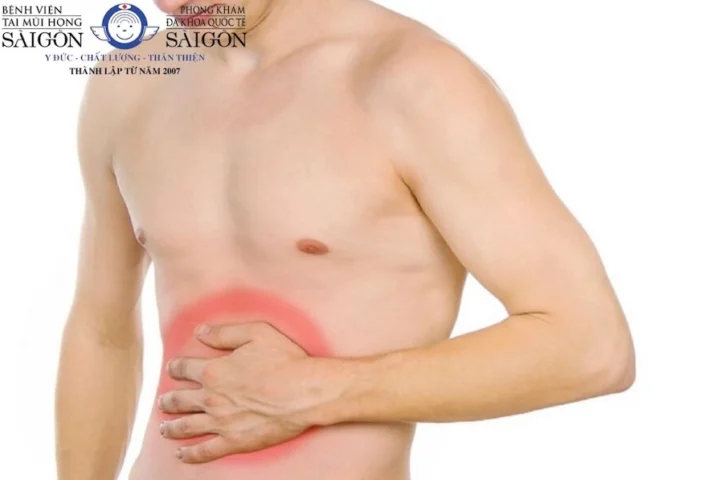Bao tử nằm ở đâu? Giải đáp chi tiết vị trí và chức năng