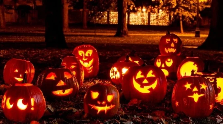 Màu sắc truyền thống của Halloween là gì? Khám phá ngay! Bí ngô và đồ trang trí Halloween màu cam đen