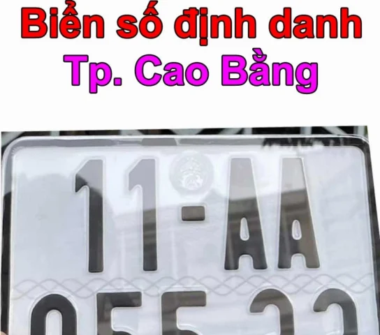 Biển Số Xe Cao Bằng: Hướng Dẫn Chi Tiết Từ A-Z (2026) Biển số xe con tại Cao Bằng