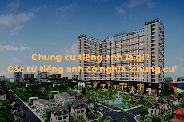 Chung cư tiếng Anh là gì? Khám phá thuật ngữ & cách dùng chi tiết Biểu đồ so sánh các loại hình nhà ở chung cư