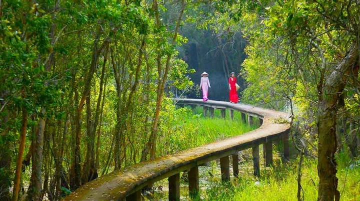 Khám phá Điểm Du Lịch Long An: Top 10+ Địa Điểm Hấp Dẫn 2026 Cảnh quan rừng tràm tại Làng Nổi Tân Lập