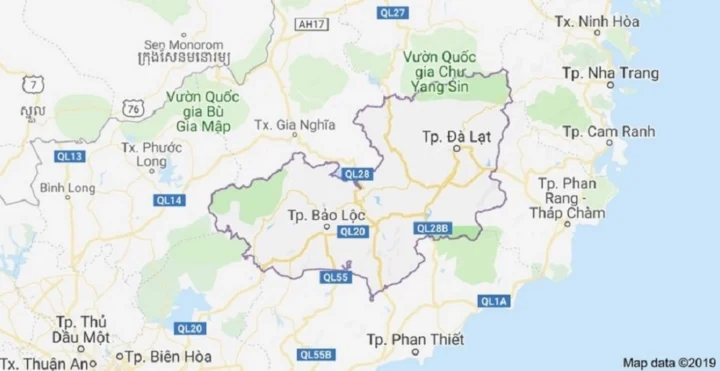 Đà Lạt Ở Đâu? Khám Phá Vẻ Đẹp Cao Nguyên Mộng Mơ Cảnh quan thiên nhiên Đà Lạt với sương mờ và rừng thông