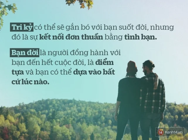 Bạn Đời Là Gì? Ý Nghĩa Sâu Sắc Của Một Người Bạn Đời Cặp đôi già nắm tay nhau trên ghế