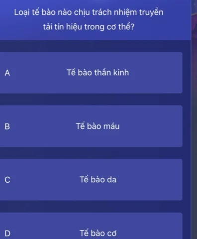 Cấu tạo của một tế bào thần kinh (neuron)