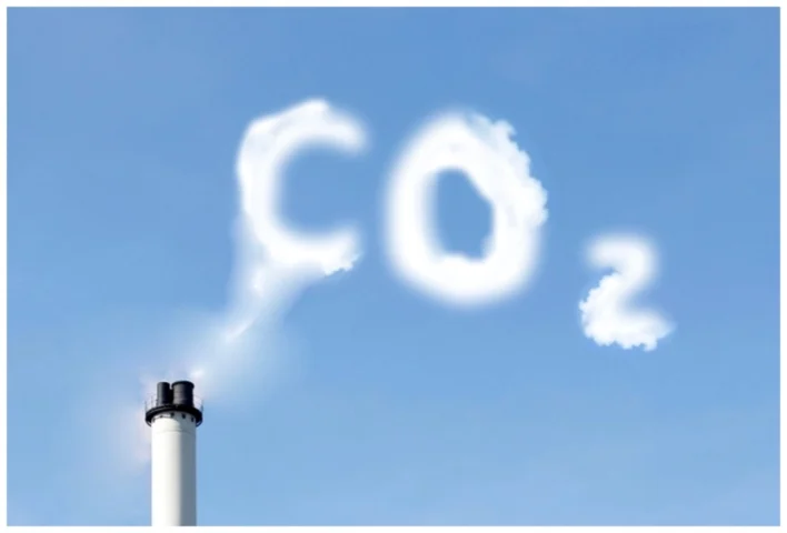 Cây xanh sử dụng CO2 để quang hợp
