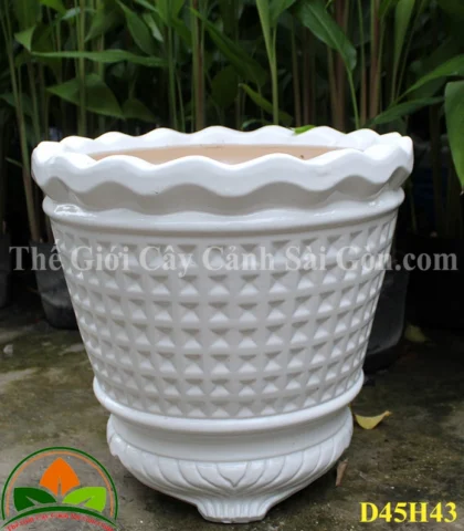 Chậu Sứ Trồng Cây: Vẻ Đẹp Sang Trọng Cho Không Gian Sống 2026 Chậu sứ trồng cây dáng cao có ba chân