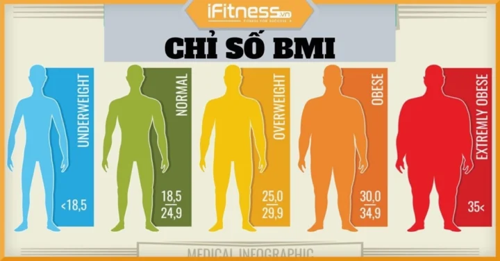 Chỉ số BMI Bình Thường: Con số Vàng cho Sức Khỏe Toàn Diện