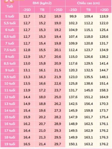 Chỉ Số BMI Bình Thường: Hướng Dẫn Toàn Diện Năm 2026