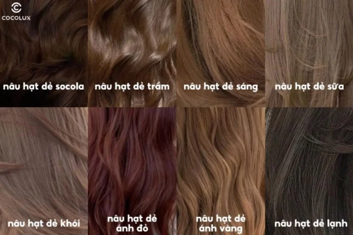 Cô gái với mái tóc màu nâu hạt dẻ lạnh óng ả