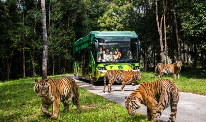 Vinpearl Safari Phú Quốc 2026: Trải Nghiệm Hoang Dã Độc Đáo Cổng vào Vinpearl Safari Phú Quốc ấn tượng