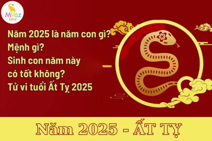 Hình ảnh con rồng tượng trưng cho năm Giáp Thìn 2025