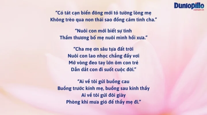 Hình ảnh minh họa về ý nghĩa ca dao tục ngữ Việt Nam
