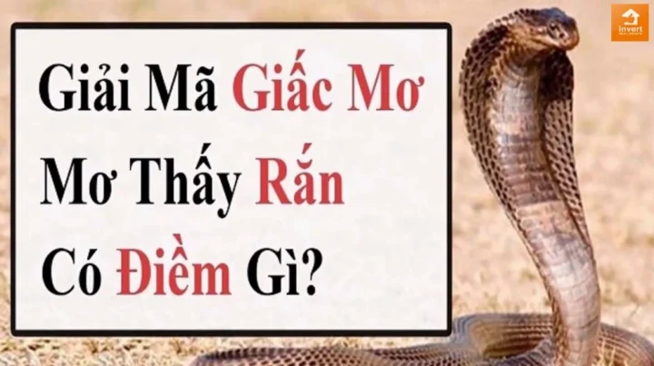 Hình ảnh rắn hổ mang trong giấc mơ