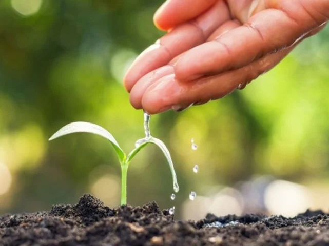 Cao Thượng Là Gì? Phẩm Chất Vượt Trội Của Con Người Hiện Đại 2026 Hình ảnh thể hiện sự cao thượng trong quan hệ con người