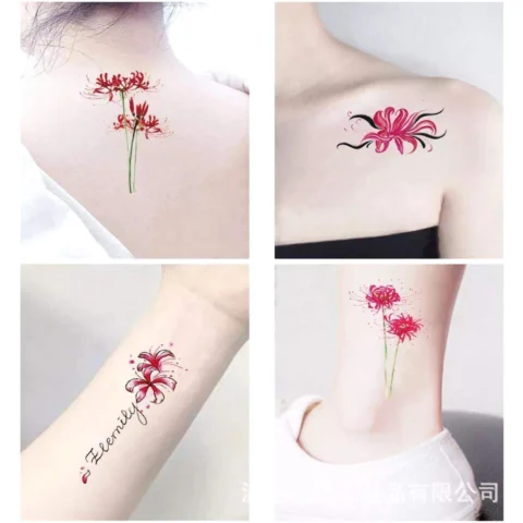 Khám Phá Vẻ Đẹp Hình Xăm Bỉ Ngạn Mini Đầy Ý Nghĩa Hình xăm bỉ ngạn mini màu đỏ và trắng