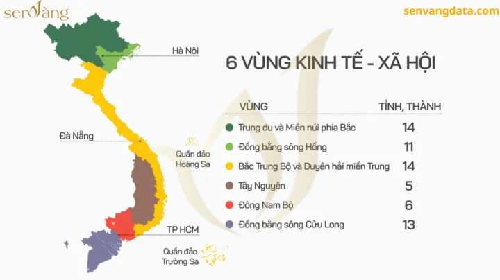 Khám Phá Duyên Hải Miền Trung: Vẻ Đẹp & Tiềm Năng 2026 Hoạt động kinh tế biển Duyên hải Miền Trung