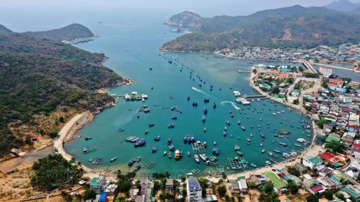 Hoạt động lặn biển ngắm san hô tại Vịnh Vĩnh Hy