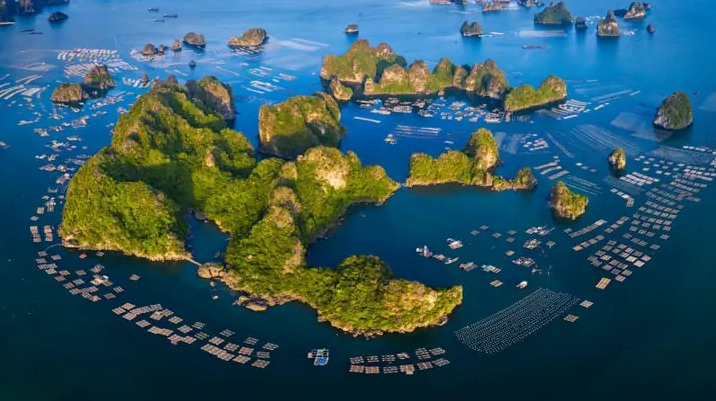 Hòn đảo nào lớn nhất Việt Nam? Khám phá Phú Quốc và các đảo lớn khác