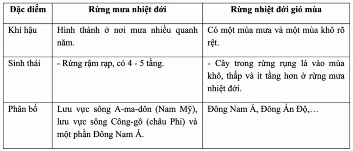 Khám Phá Đặc Điểm Rừng Nhiệt Đới: Thế Giới Đa Dạng Sự Sống