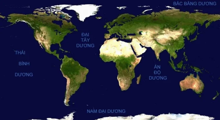 Khám Phá Các Châu Lục Trên Thế Giới: Hành Trình Xuyên Bản Đồ 2026
