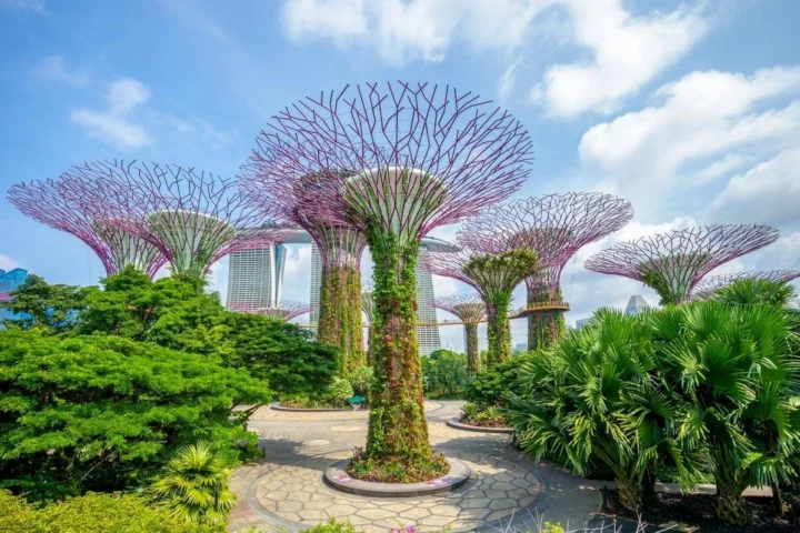 Khám Phá Điểm Du Lịch Nổi Tiếng Tại Singapore 2026