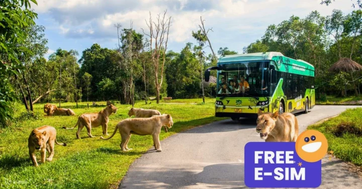 Khám phá Vinpearl Safari Phú Quốc 2026: Kinh nghiệm chi tiết