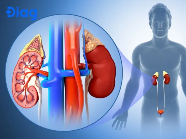 Khám Thận Ở Đâu Tốt Nhất 2026? Hướng Dẫn Chi Tiết