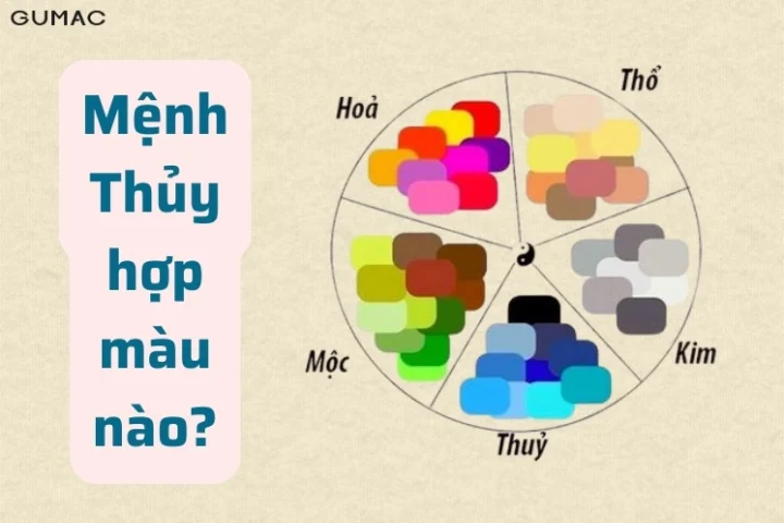 Màu sắc kỵ với nữ mệnh Thủy