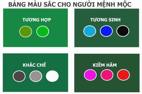 Mệnh Mộc Kỵ Màu Gì? Khám Phá Bí Ẩn Phong Thủy 2026