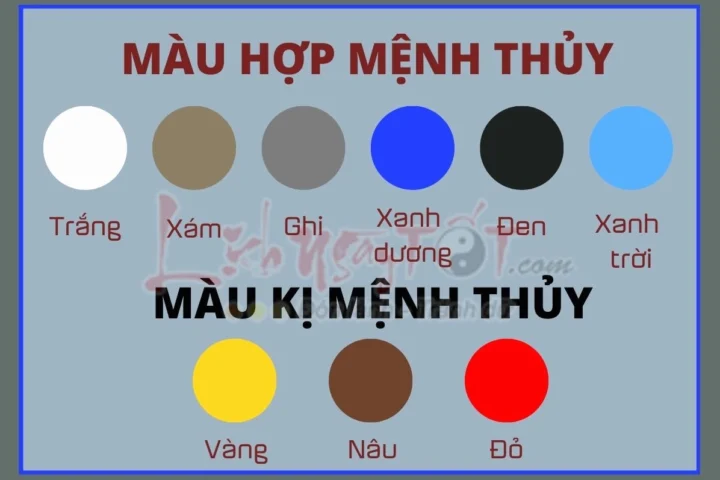 Mệnh Thủy hợp màu vàng không? Giải đáp chi tiết 2026